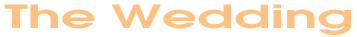 wedding.gif (2826 bytes)